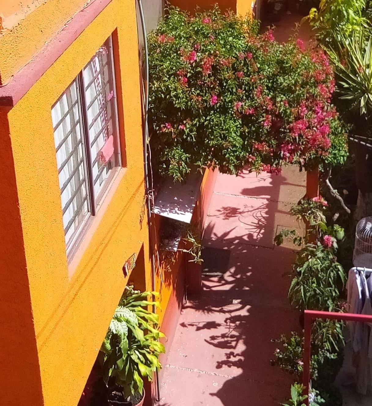 Апартаменты Hermoso Depa De 3 Recamaras Y 2 Banos En El Centro De Coyoacan Мехико Экстерьер фото